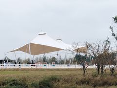 -三圣里·中餐宴请·自助烤肉·烤全羊·柴火鸡(旗舰店)
