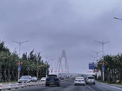 -东郊椰林