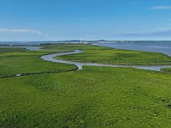 -东寨港红树林旅游区