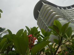 DSCN4169-深圳大梅沙京基洲际度假酒店