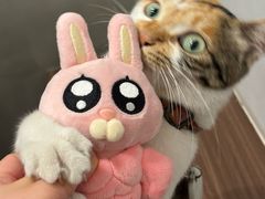 -Again Coffee Roaster(香蜜湖店)