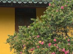 -南华禅寺