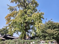 -常熟理文铂尔曼酒店