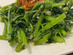 -文东记(马里士他路)