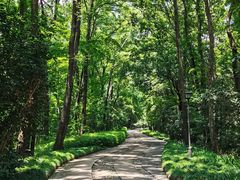 -紫金山山顶公园