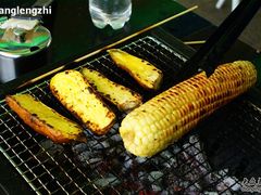 -顺鑫绿色度假村