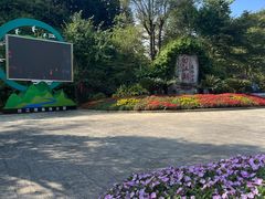 -广州白江湖森林公园