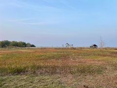 -盐城丹顶鹤湿地生态旅游区