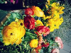 Mikaku-MIKAKU(万达广场上海宝山店)