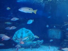 -太平洋海底世界