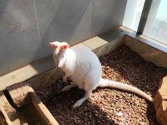 -昆明大悦城未来动物城(螺蛳湾中心店)