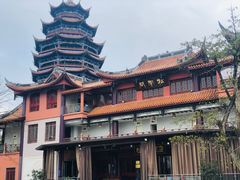 -铁山坪森林公园