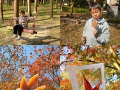 -田野绿世界