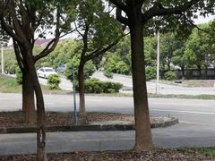 -安飞驰驾校·学车连锁(金高店)