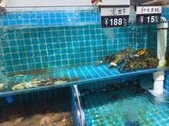 -正亮农家院·海鲜本地菜