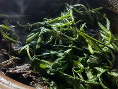 -霞姐屯昌枫木香草鸭店(海螺店)