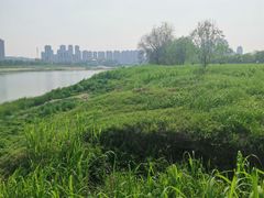 -汉江湾体育公园
