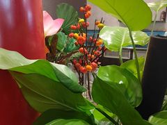 -汉水谣·江景餐厅(江滩店)