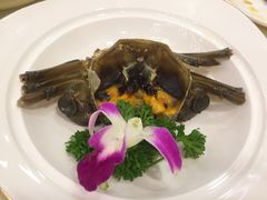 生醉蟹-王宝和酒家(黄浦店)