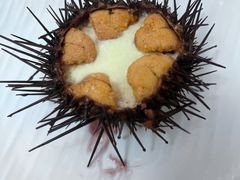 海胆蒸蛋-宾朋海鲜饭庄(兴海路店)