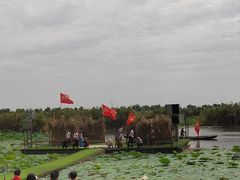 -洪湖生态旅游区