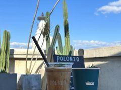 -polonio