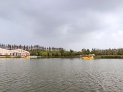 -上海长兴岛郊野公园