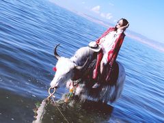 -青海湖国家重点风景名胜区