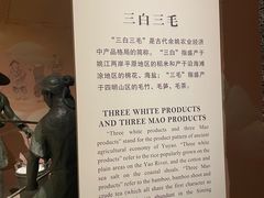 -余姚博物馆