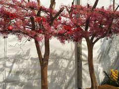 -海心沙亚运公园