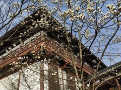 -穹窿山景区