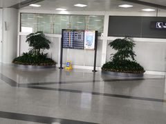 -长沙黄花国际机场-T1航站楼