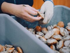 -裕兴记•蟹黄面馆(人民广场店)