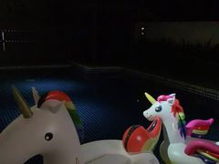 -三亚亚龙湾铂尔曼别墅度假酒店