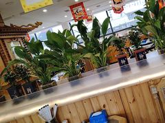 -大清花饺子(山庄店)