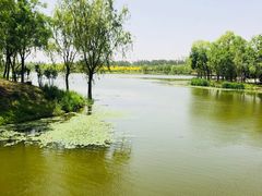 -东郊湿地公园
