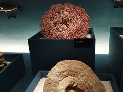 -中国湿地博物馆