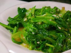 -煲来饱去冷水鱼