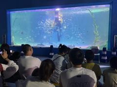 -常州海昌海洋探索馆