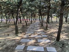 -山东大学(威海校区)