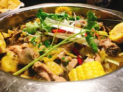 -陈三娃泡姜鸡(太白北路店)