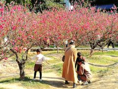 -南国桃园旅游度假区