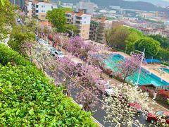 -小南山公园