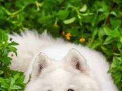 -德全心悦酒店(北京金台路地铁站店)