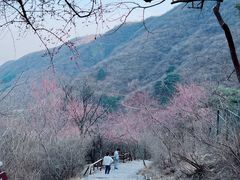 -香山公园
