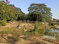 -东莞植物园