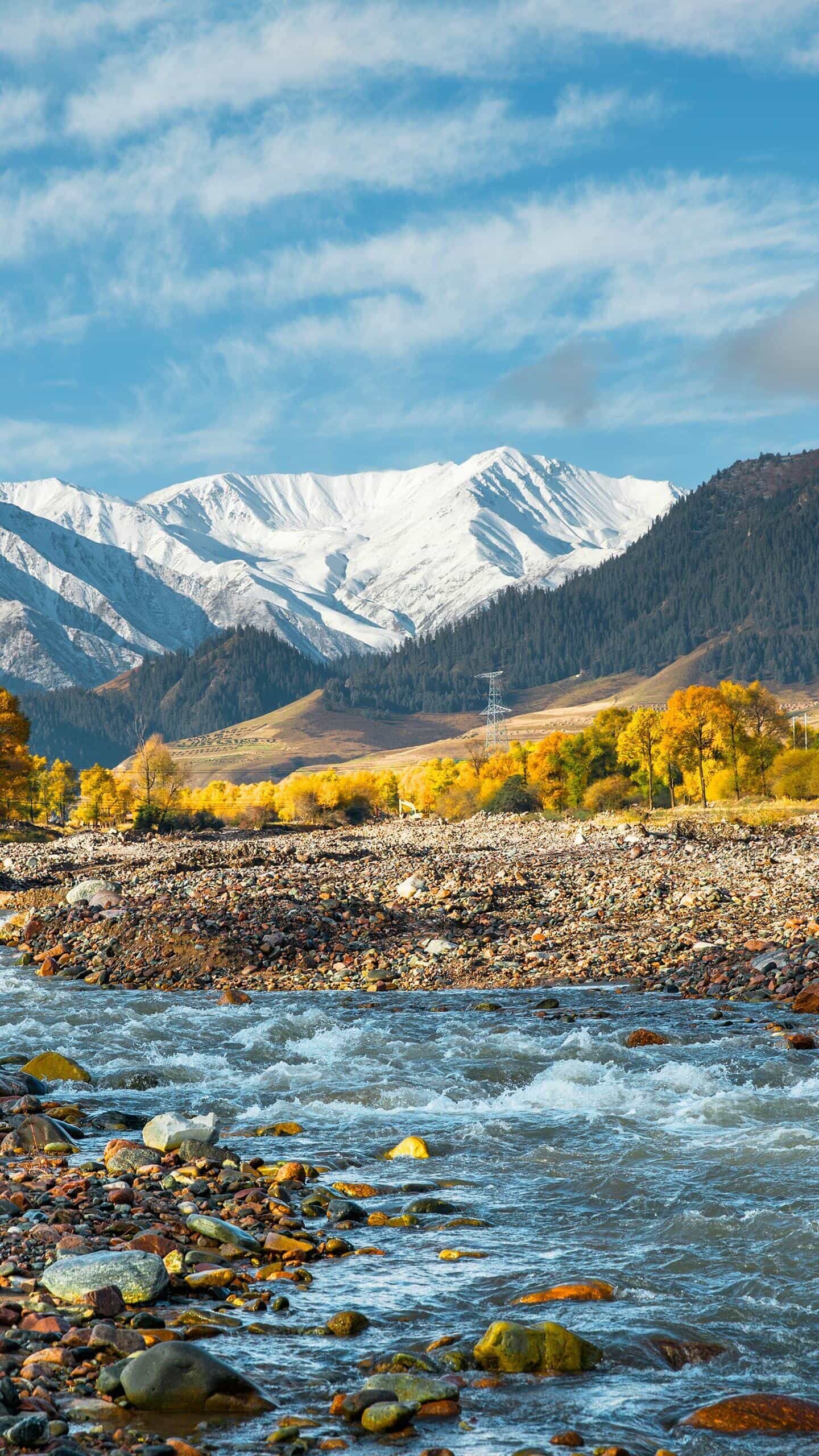 我向往的诗和远方