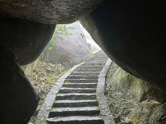 -玉苍山国家森林公园