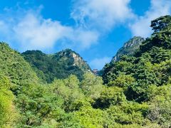 -泰山风景名胜区