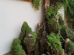 -丽江庭院之爱在路上(西单店)